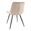 Krzesło Praga beżowy / czarne nogi - zdjęcie z tyłu