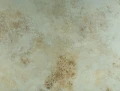 ec1e3338a0085cf7e43ed3abd2c04ee2